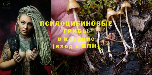 бошки Абдулино