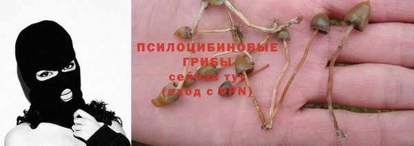 бошки Абдулино