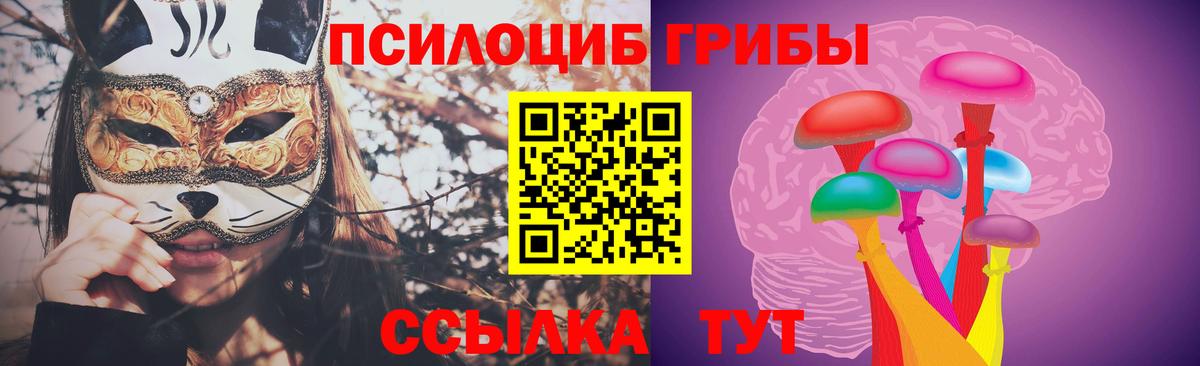 Галлюциногенные грибы Psilocybine cubensis  Вход с VPN  Липецк  Псилоцибиновые грибы мухоморы 